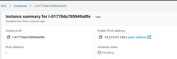 Finding the Public IP address in EC2